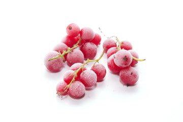 Frozen red currants