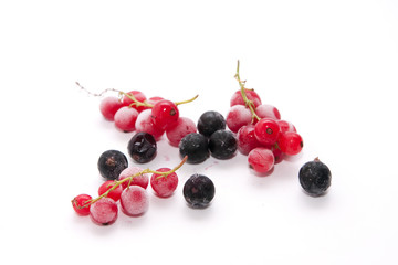 Frozen red and black currants