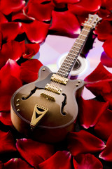 Musical instrumen - guitar and roses
