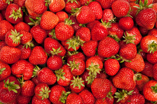 delicious strawberries