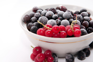 Frozen red and black currants