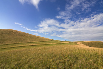 Wolkenhimmel über Wiesenlandschaft