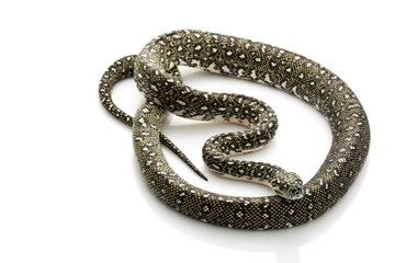 Diamond Python