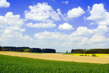 Countryside View