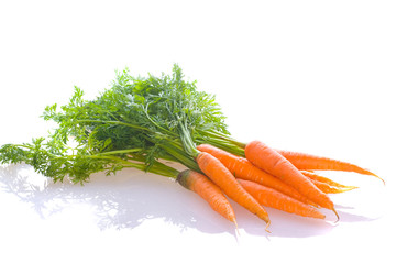 fresh carrot