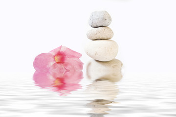 stones and flower reflected into the water