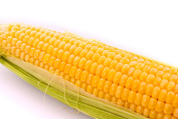 Corn isolated on white