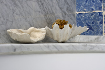 Conchiglia portasapone e spugna © bepsphoto