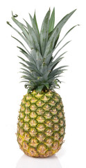 Fresh Hawaiian Pineapple