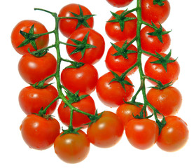 cherry tomato