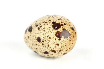 quail egg
