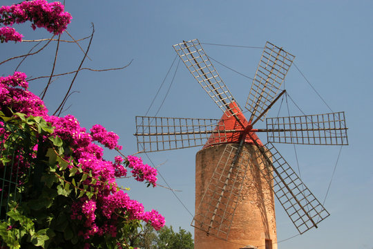 Windmühle mit Blumen