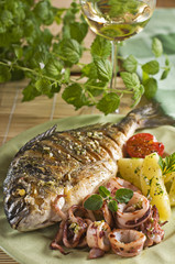 Fish