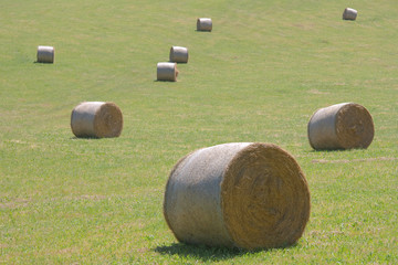 Fardos de paja, Avellaneda, Bizkaia, (Spain)