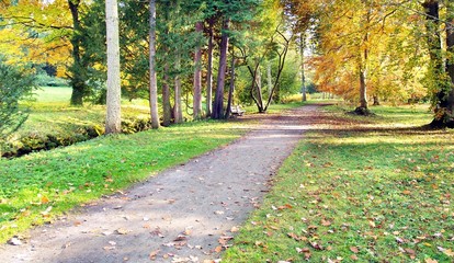 Park in autumn