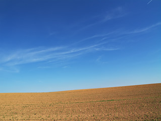 Obraz premium first sprouts