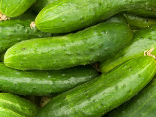 Vegetables cucumbers