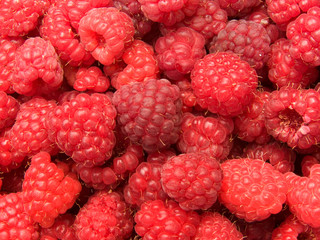 Raspberry berries