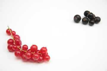 fruits rouges