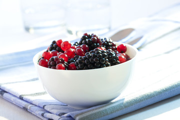 Schälchen mit Johannisbeeren und Brombeeren
