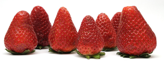 Strawberries standing up