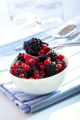 Johannisbeeren und Brombeeren