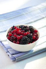 Schälchen mit Johannisbeeren und Brombeeren