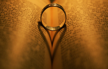 der ring