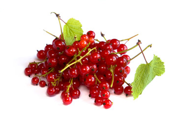 Red currants