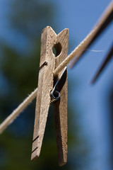 Natural Clothes Dryer