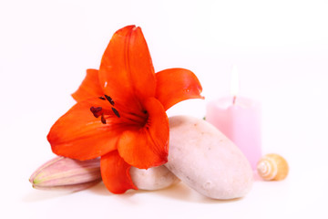 wellness,blume © Swetlana Wall