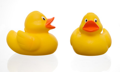 little yellow rubber duck