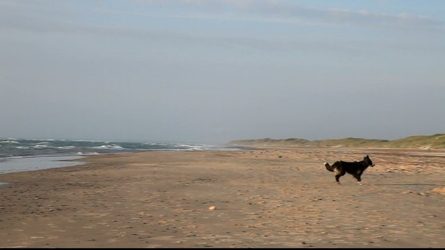Boder am Strand
