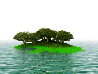 green island with trees and reflection in water