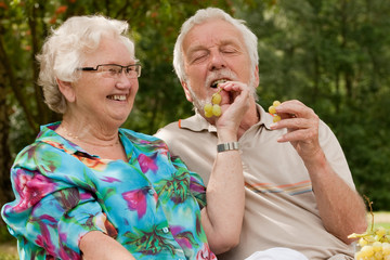 Fototapeta premium Elderly couple enjoying the spring in the park
