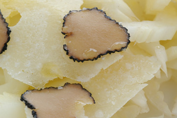 Sedano bianco al tartufo e formaggio grana - Antipasti E.R.