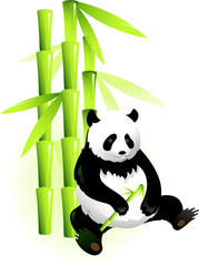 Obraz premium Bamboo and panda