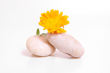 wellness, lilie © Swetlana Wall