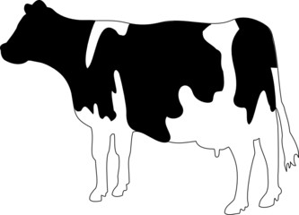 milch cow, vector illustration black and white