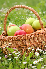 flowers and apples