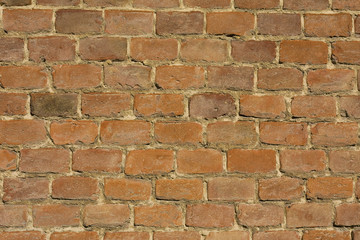 Fototapeta premium Brick wall