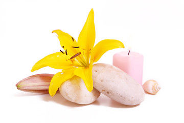 wellness,lilie © Swetlana Wall