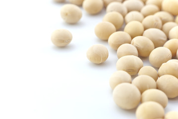 Fototapeta na wymiar Soya Beans - Close up - Isolated