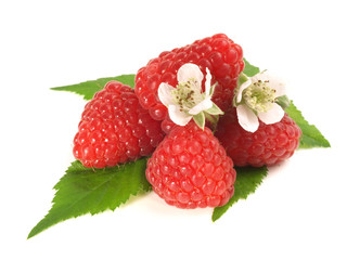 Himbeeren mit Blüte