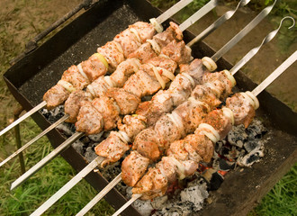 Shish kebab on coals