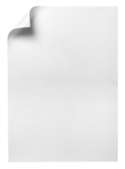 notebook office blank  paper with curl