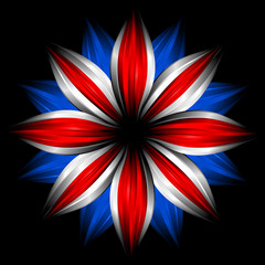 Flower with british flag colors on black