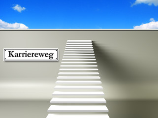 Karriereweg