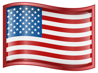 United States Flag Icon