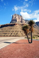 Fotobehang A Yucca on the Highway to the Guadalupe Mountains © Derrick Neill